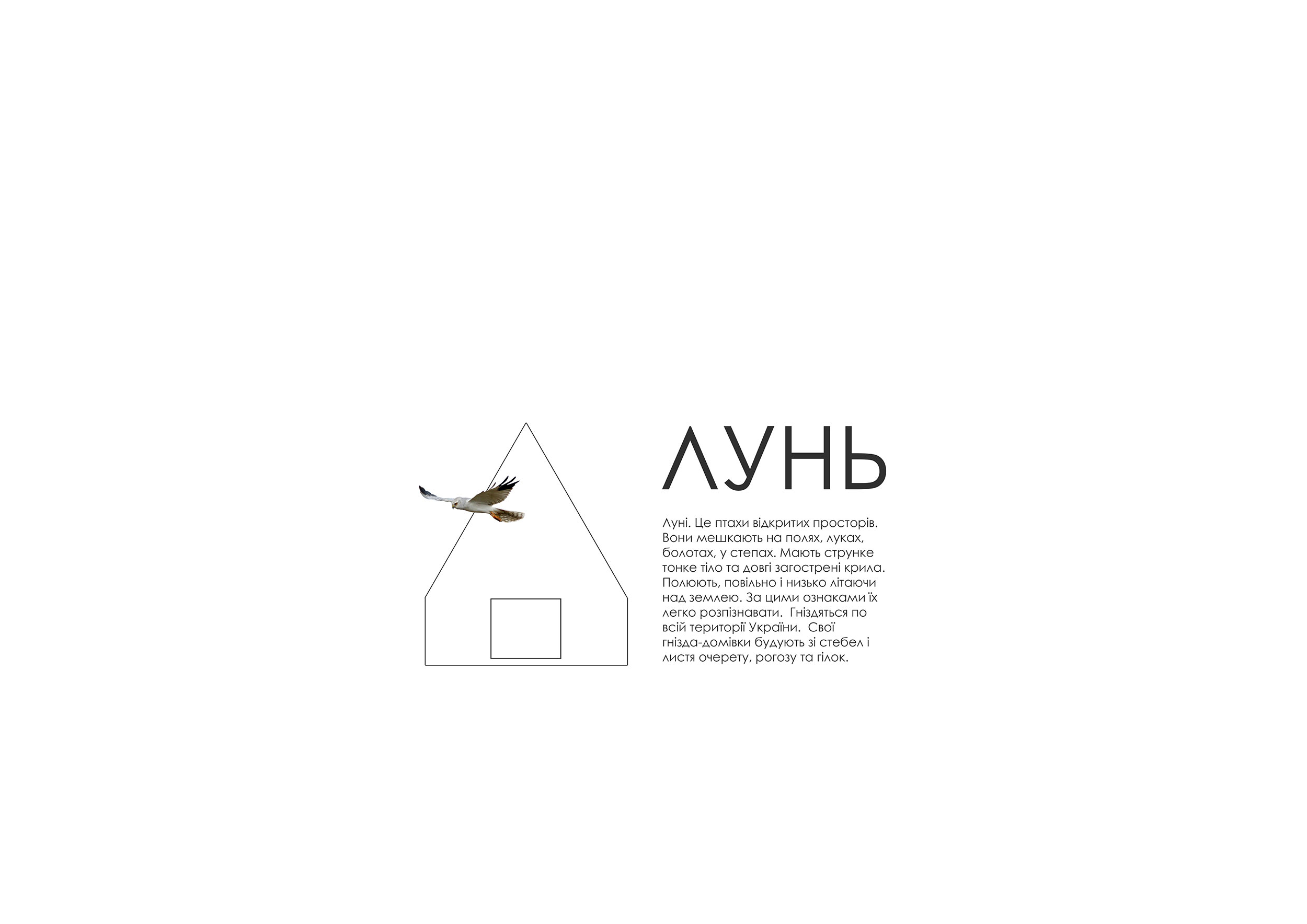 HOUSE “LUN’” BIRD NEST