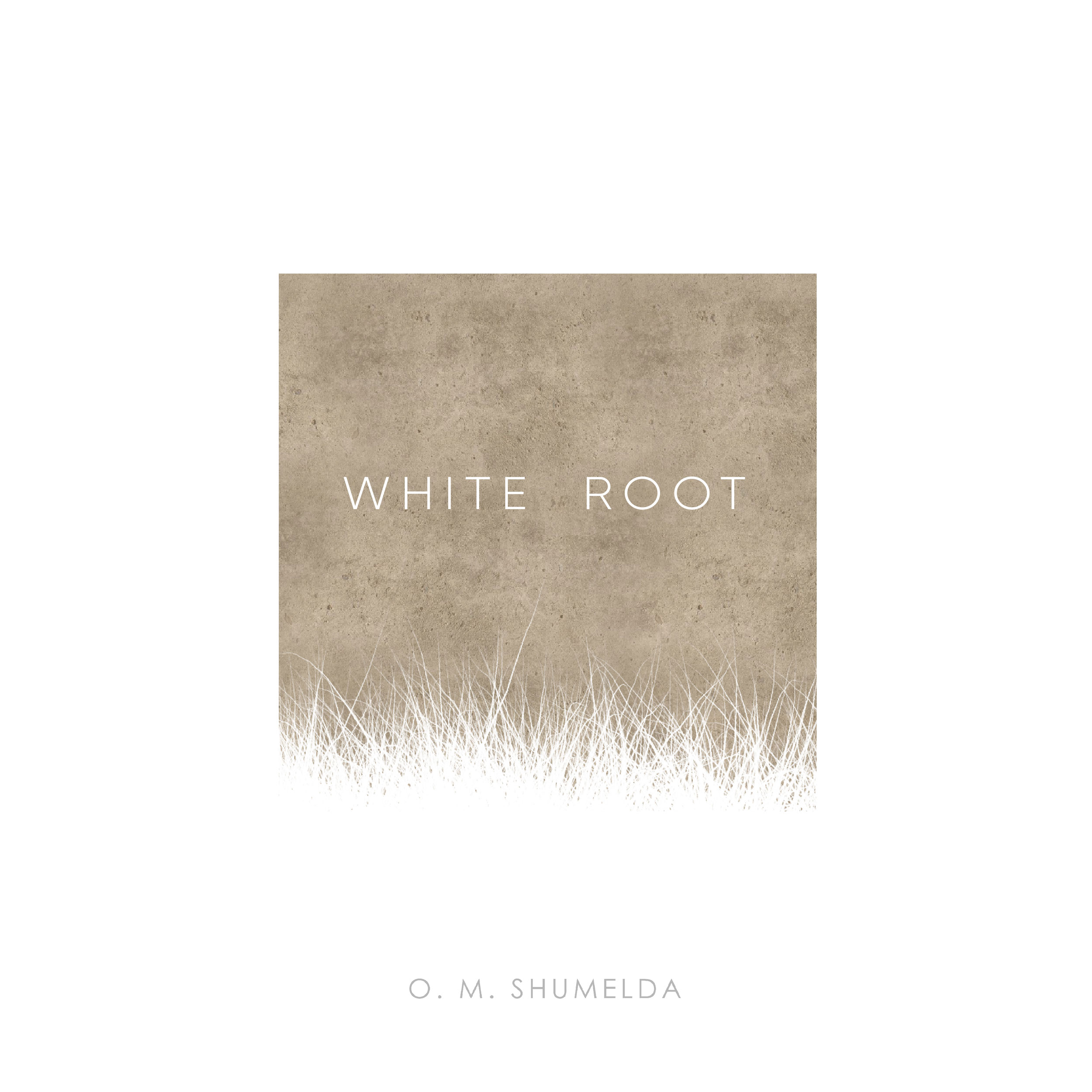 White root