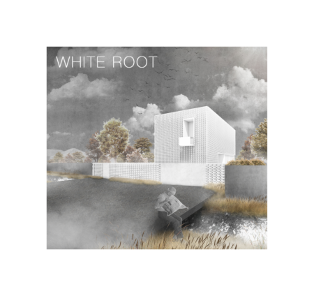 White root